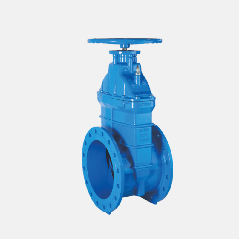 大口径弹性座封闸阀